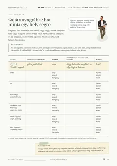 A Színek, amik együtt is szépek munkafüzet 14. oldala: Saját anyagtábla: hat minta egy helyiségre